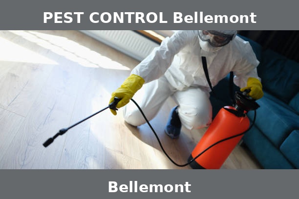 PEST CONTROL Bellemont